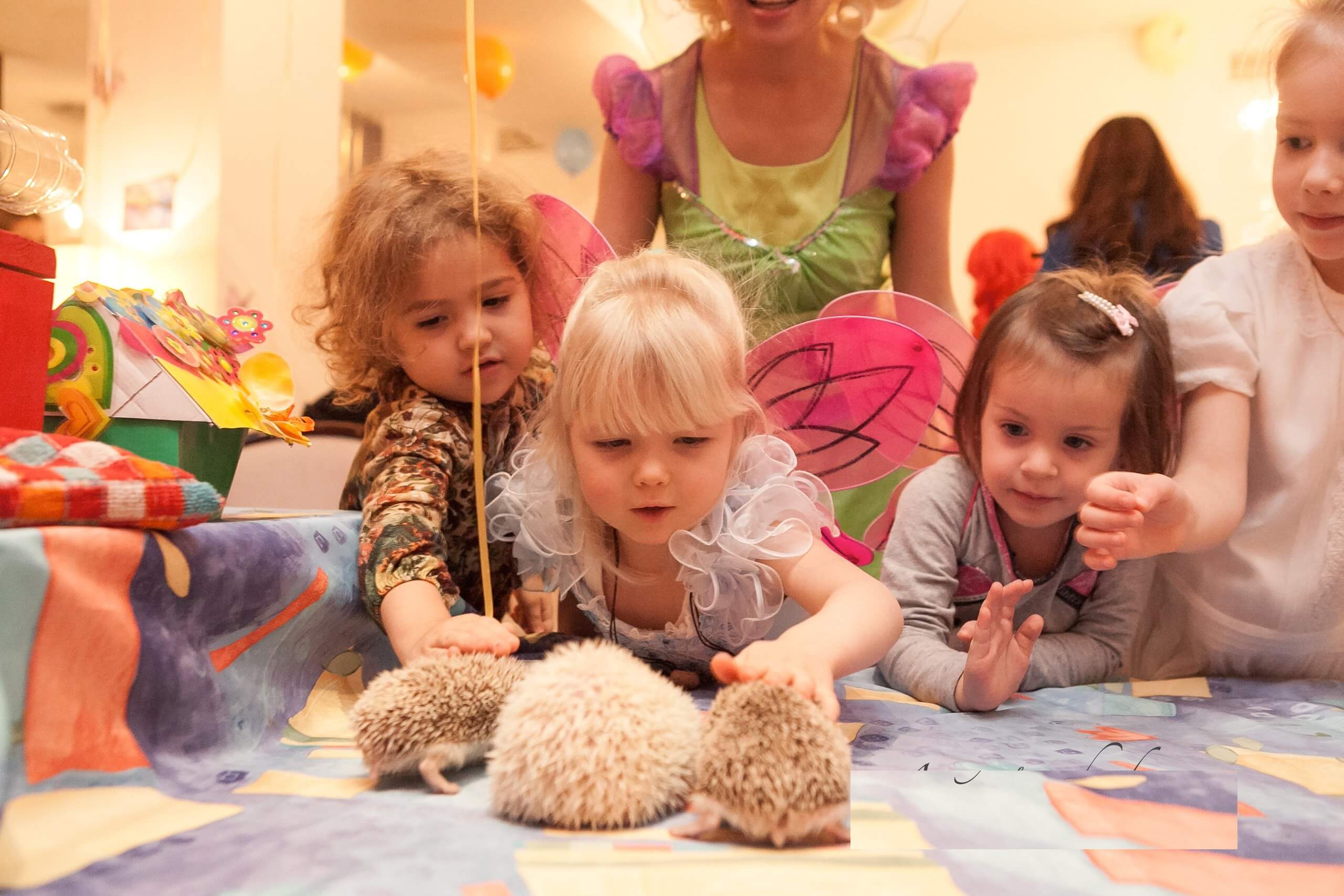 Детский день рождения в Выездном зоопарке