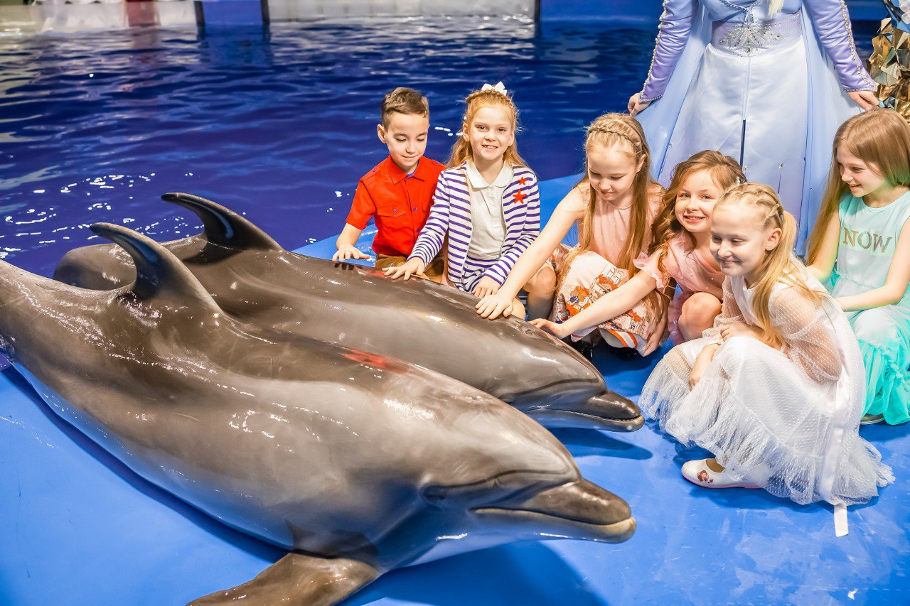 Детский день рождения Дельфинариуме или океанариуме