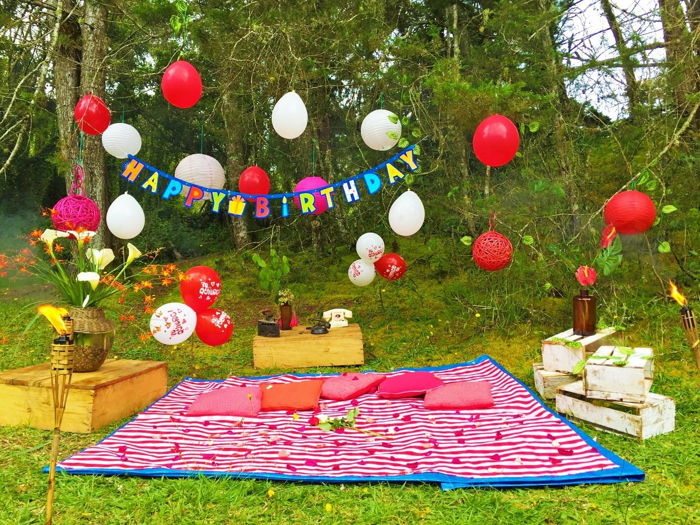 Детский день рождения Пикник в парке с играми на свежем воздухе